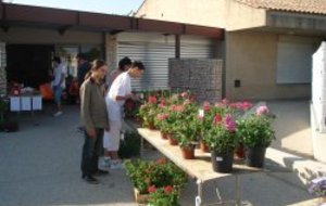 MARCHE AUX FLEURS