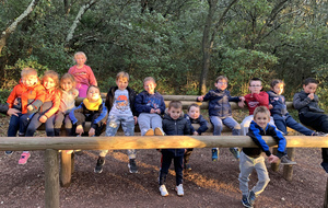 COVID-19