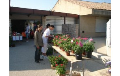 MARCHE AUX FLEURS